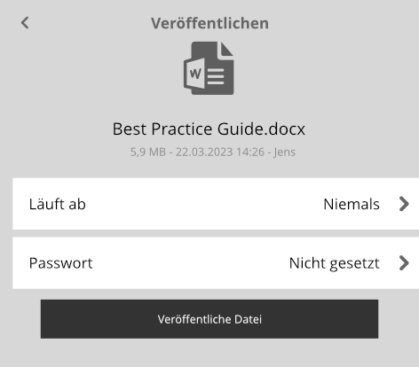 Datei Veröffentlichen 3